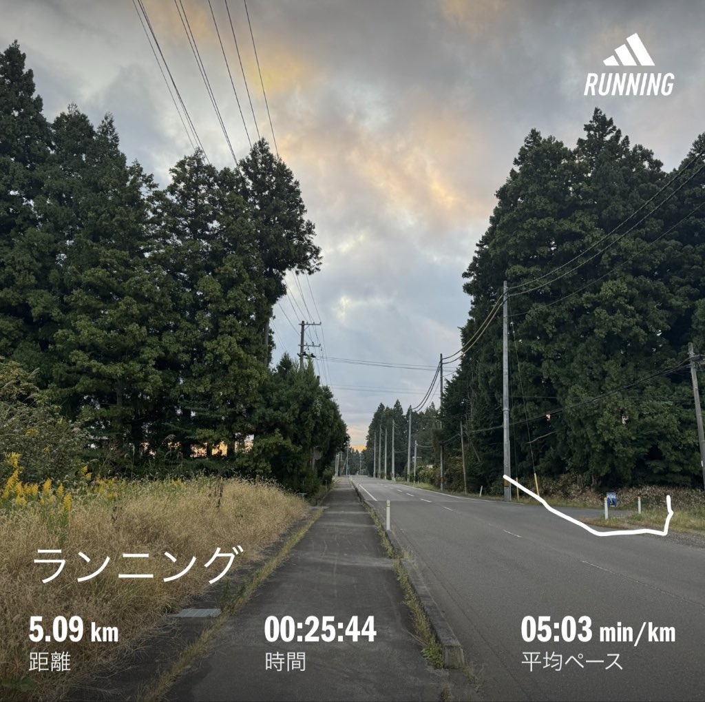 朝ラン
今日は朝から多忙
サッと走りました
🐻ྀི0頭 ヒト2人 車1台を見ました