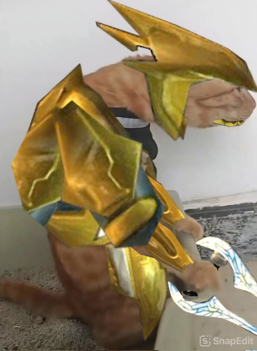 NobleActuaI's tweet image. Me when new Halo reveal