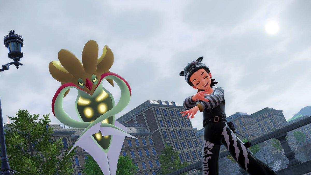 🐯DINKY🐯 tweet media