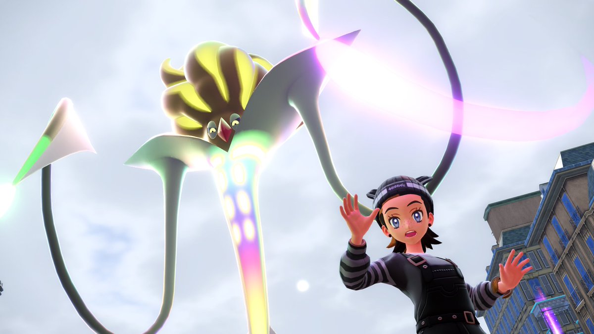 🐯DINKY🐯 tweet media