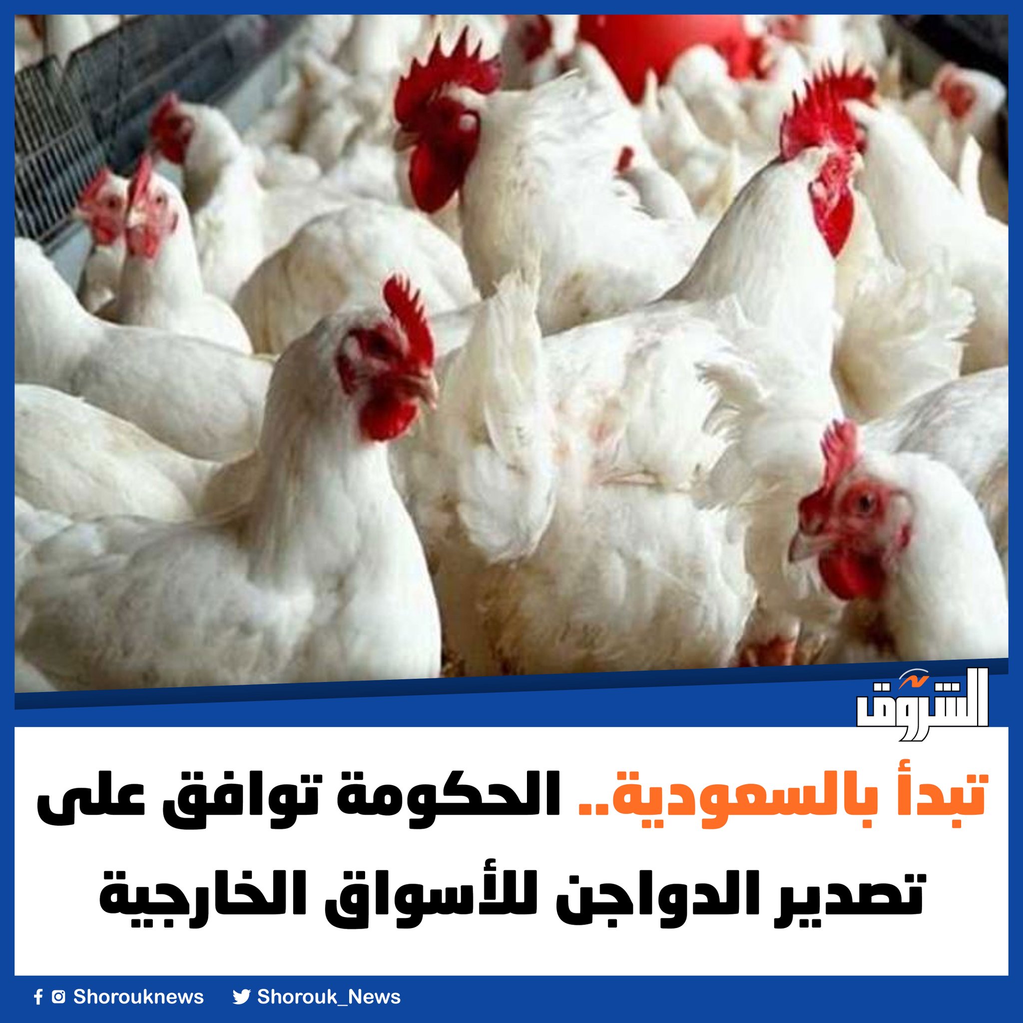 الشروق| تبدأ بالسعودية.. الحكومة توافق على تصدير الدواجن للأسواق الخارجية 