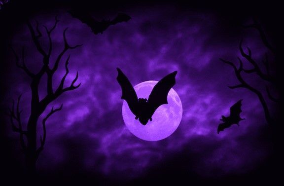 duskyrealms's tweet photo. dark purple. https://t.co/tsms6Ng3tn