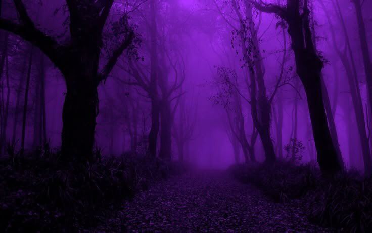 duskyrealms's tweet photo. dark purple. https://t.co/tsms6Ng3tn
