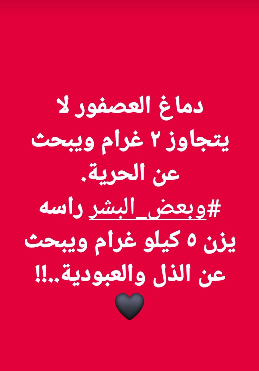 أحمد الشهاب (@ahmdahmde202) on Twitter photo 