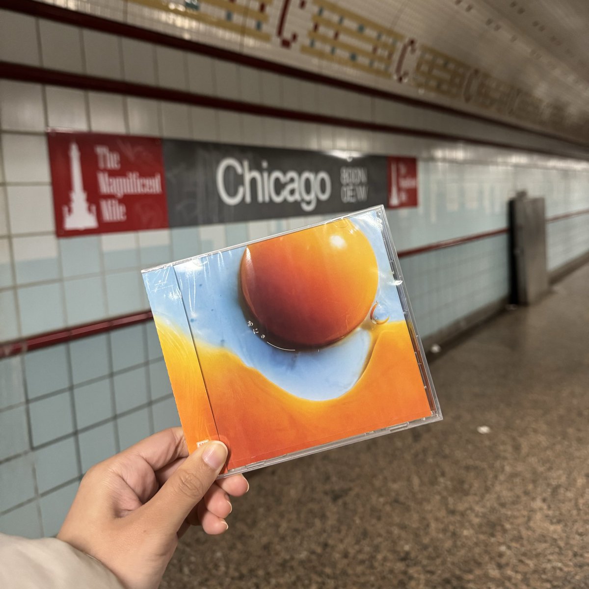 น้องบั้มไข่ดาว Anyu มาถึงชิคาโกแล้วเมื่อเช้า

あにゅ-の目玉焼きアルバム
今朝ついにシカゴに届いたよ！
3月10日に予約して、
10月24日の朝にやっとお家に到着。
発送元はアメリカ・テネシー州。

#あにゅー 
#RADWIMPS20th
<a href="/RADWIMPS/">RADWIMPS</a> <a href="/YojiNoda1/">Yojiro Noda</a>