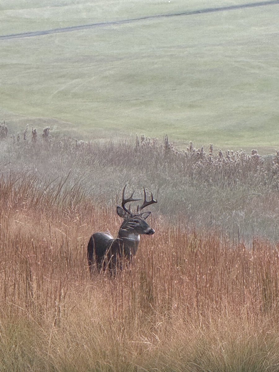 Hoyt Ellspermann tweet media