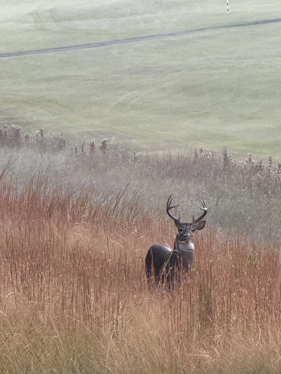 Hoyt Ellspermann tweet media