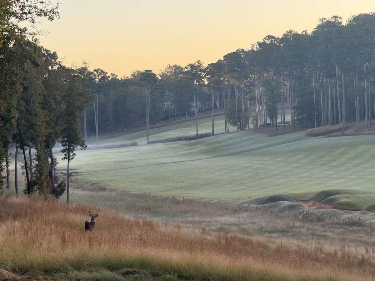 Hoyt Ellspermann tweet media