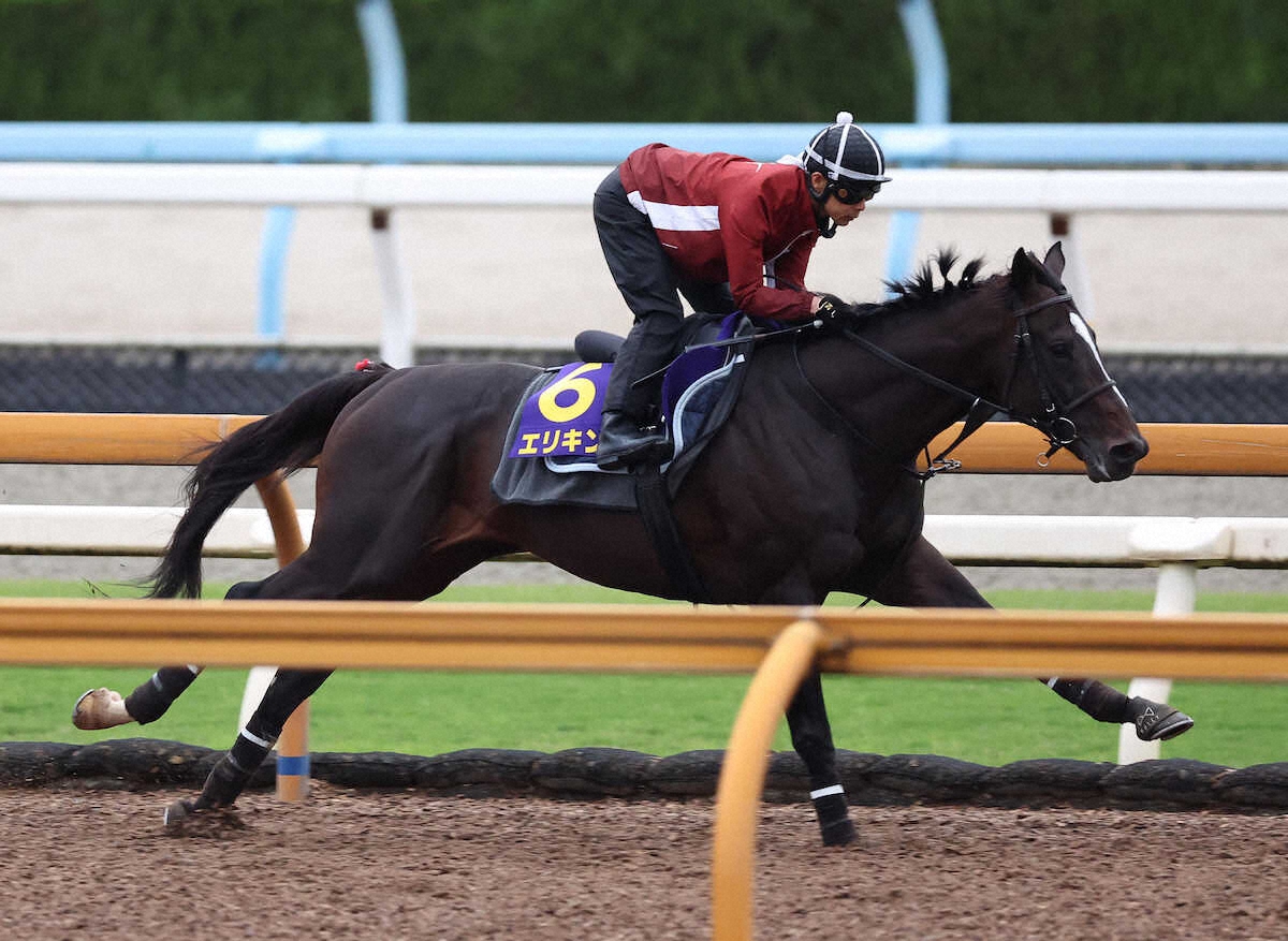 WIN!競馬_総合【公式】 on X