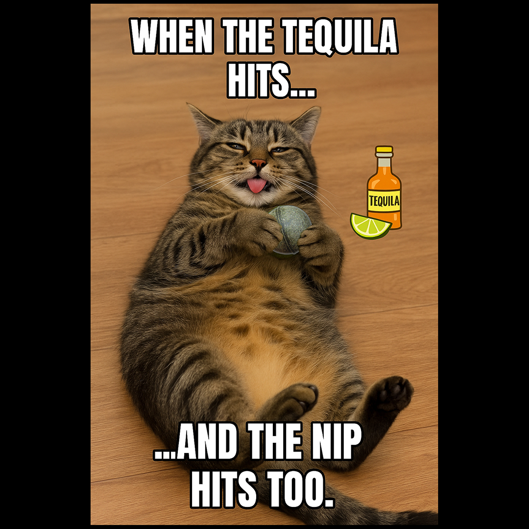 MrCatnip_222's tweet image. #itstimetogetwild
IT'S FRIDAY! #friday
#kittycandy
wix.to/kpnzcNj