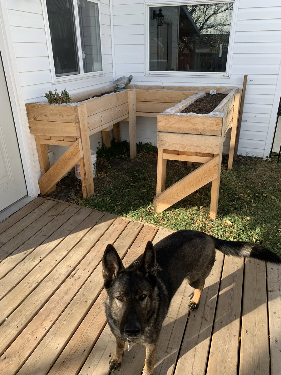 This really makes it look like Winter is coming…Fall in Sundre