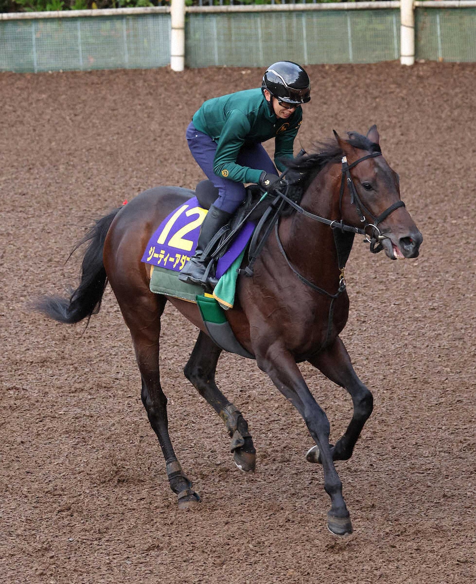 WIN!競馬_総合【公式】 on X