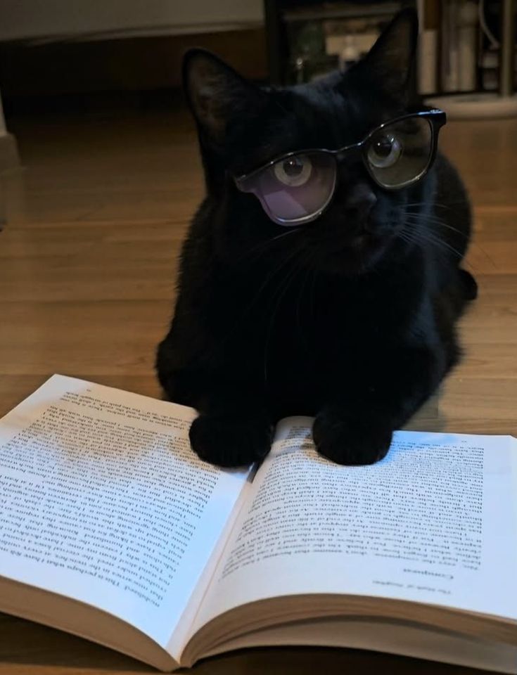 Chinno_Sarah's tweet image. 🎃𝘿𝙞𝙫𝙪𝙡𝙜𝙪𝙚 𝙎𝙪𝙖𝙨 𝘾𝙤𝙢𝙞𝙨𝙨õ𝙚𝙨🎃
Regrinhas:
🖤 Divulgue sua arte com tabela de preços;
🐈⬛ Marque artistas para participar;
🖤 Interaja com outros artistas;
🐈⬛ Nsfw ou Gore somente com avisos!
🔄 + 🖤 pra mais artistas participarem!