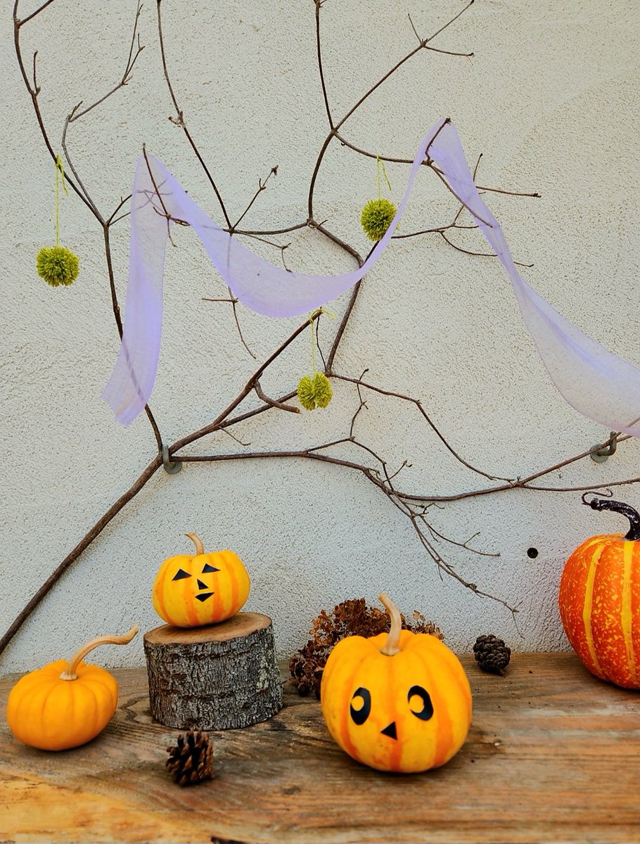 さぼてんさま確認ページ♡ 🍣てんてん2.0🍣 on X