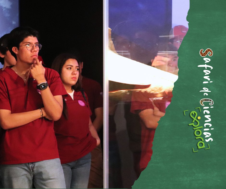 ExploraLeon's tweet image. ¡Qué día tan increíble tuvimos! Cerramos nuestras visitas escolares con estudiantes de todos los niveles, desde primaria hasta universidad, estamos muy felices por que han sido parte de este espectáculo científico.
Reserva tu visita escolar: reserva@explora.mx