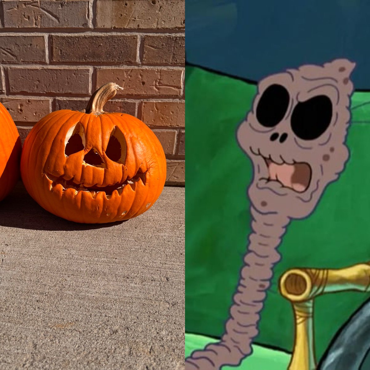 Wasatch Pop tweet media