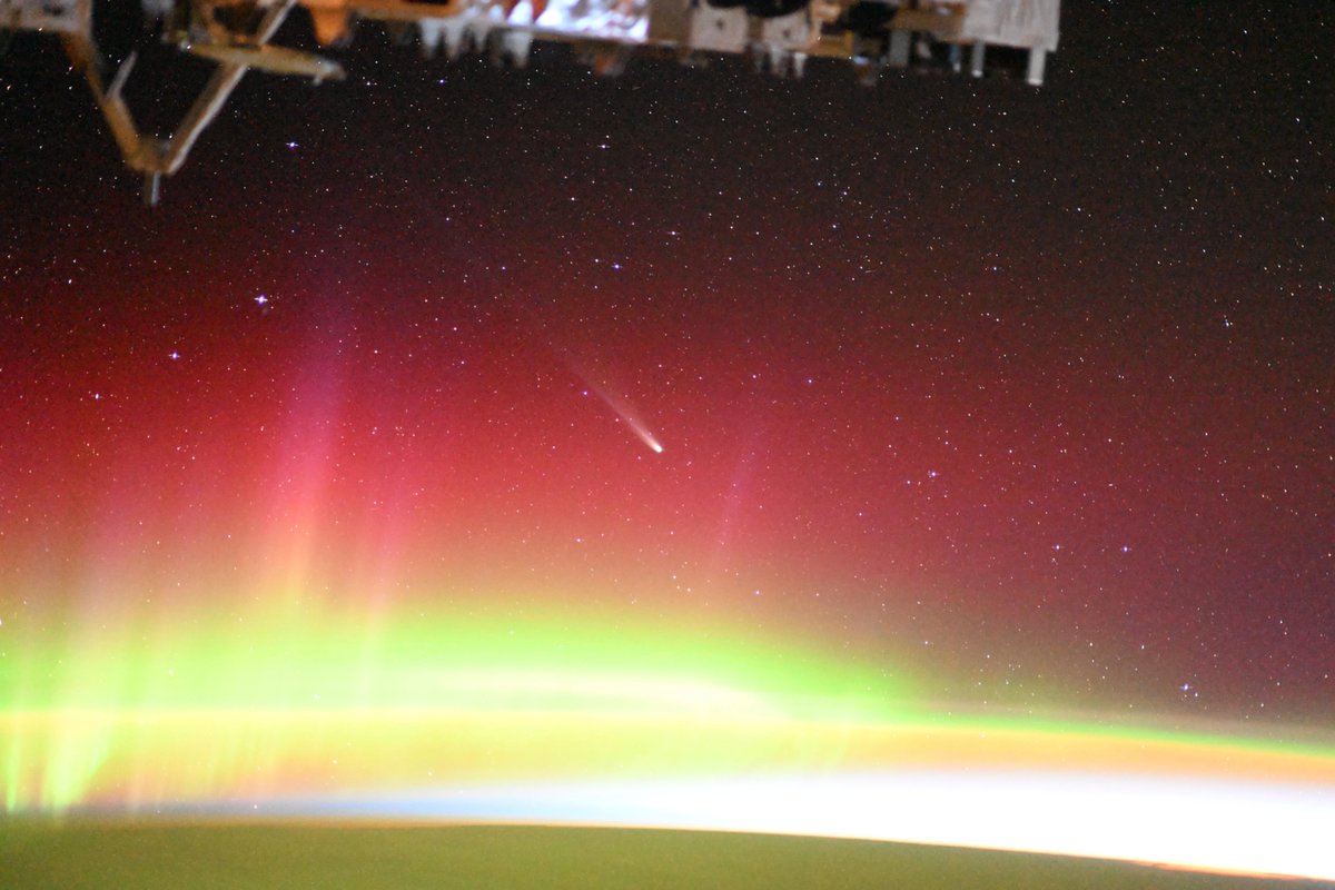 皆さん、おはようございます！
最近彗星の話題ばかりで恐縮ですが、今日の景色も絶景でしたので、紹介させてください。
レモンちゃんというにはあまりに華麗に夜明け前の宇宙を舞っていましたので、今日はレモンさんと呼ばせていただきます笑。
まるで、オーロラの海を泳ぐ人魚の様でした。