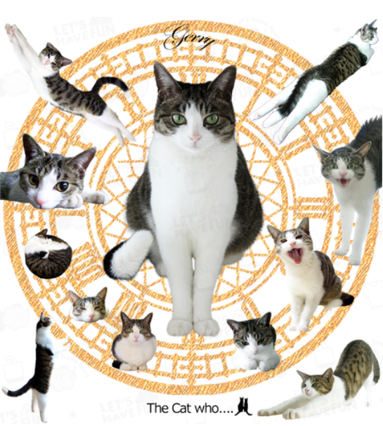 にゃーページ にゃぱねっと♂ on X