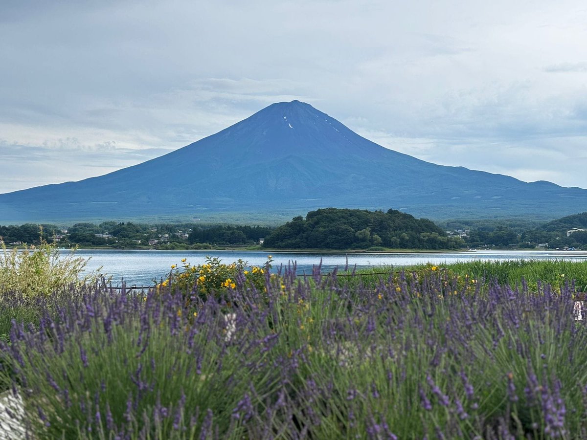 Foodsburg's tweet image. Tokyo,Japan in pics from one of Our Readers
foodsburg.com/2025/10/24/tok…