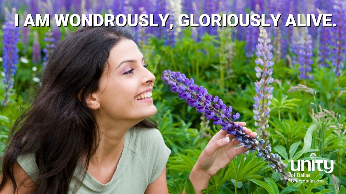 UnityDallas's tweet image. Alive 
“I AM WONDROUSLY, GLORIOUSLY ALIVE.”– Dailyword.com
#DailyWord #Unity #UnityDallas #Alive