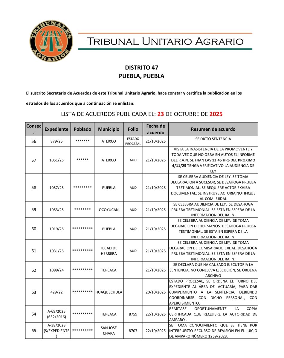 Tribunal47's tweet image. 