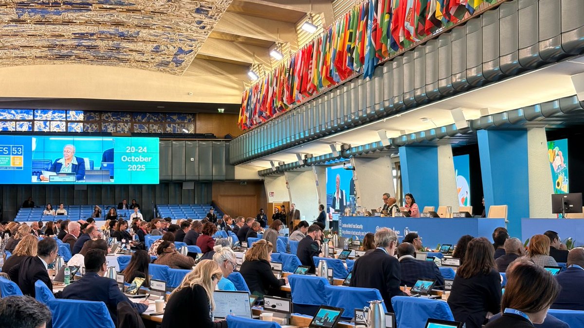 #Hoy, en Roma, Colombia fue elegida como miembro principal del bureau del Comité de Seguridad Alimentaria. Este logro de la Cancillería y la <a href="/Mision_ColRoma/">Misión Permanente de Colombia ante ONU en Roma</a> permitirá posicionar los intereses del país en seguridad alimentaria, justicia social y el derecho a la alimentación,