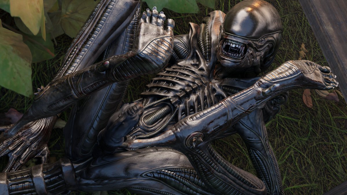 nate 🔞 tweet media