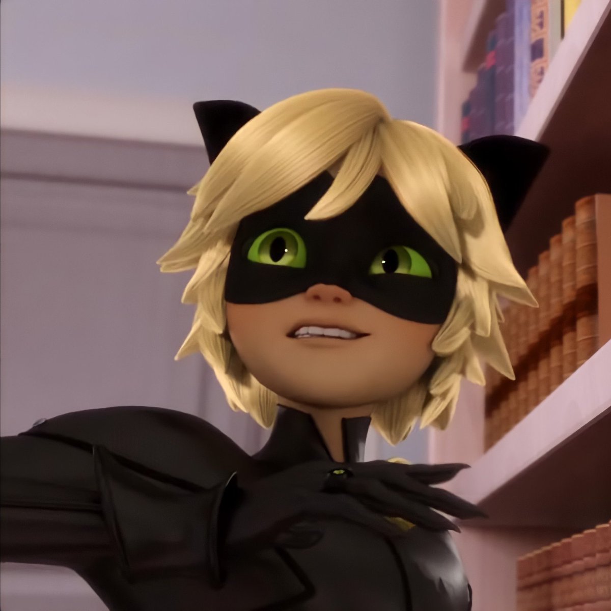 daily chat noir tweet media