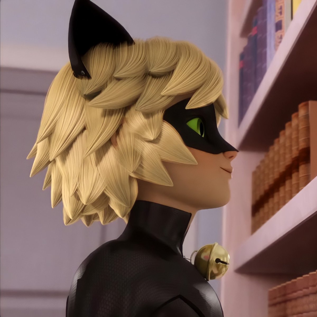 daily chat noir tweet media