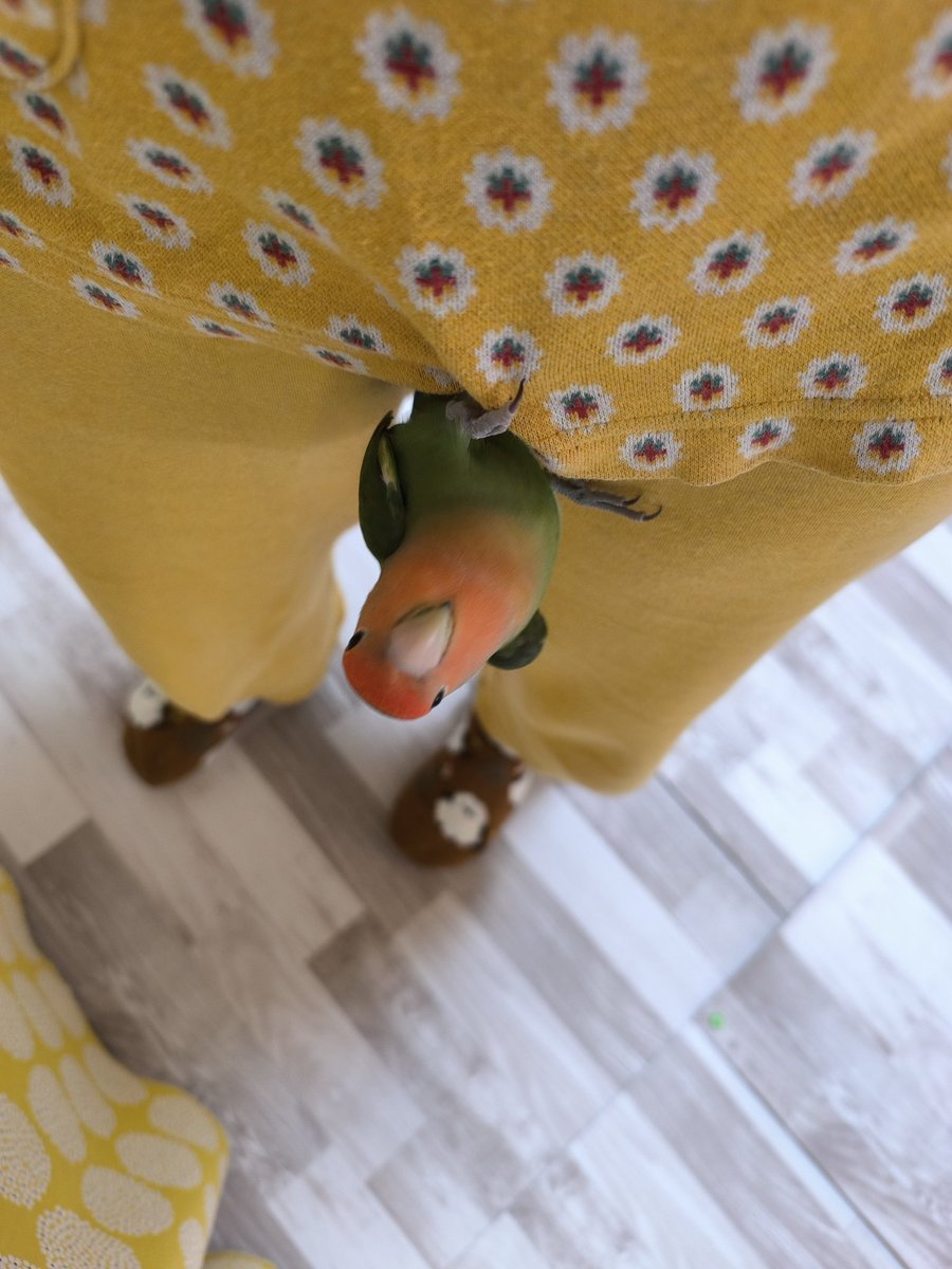 小物 Nao ZX-6R 05-06 クァンタム リアサス（180420.K】ZRX-Ⅱ(ZR400E-342