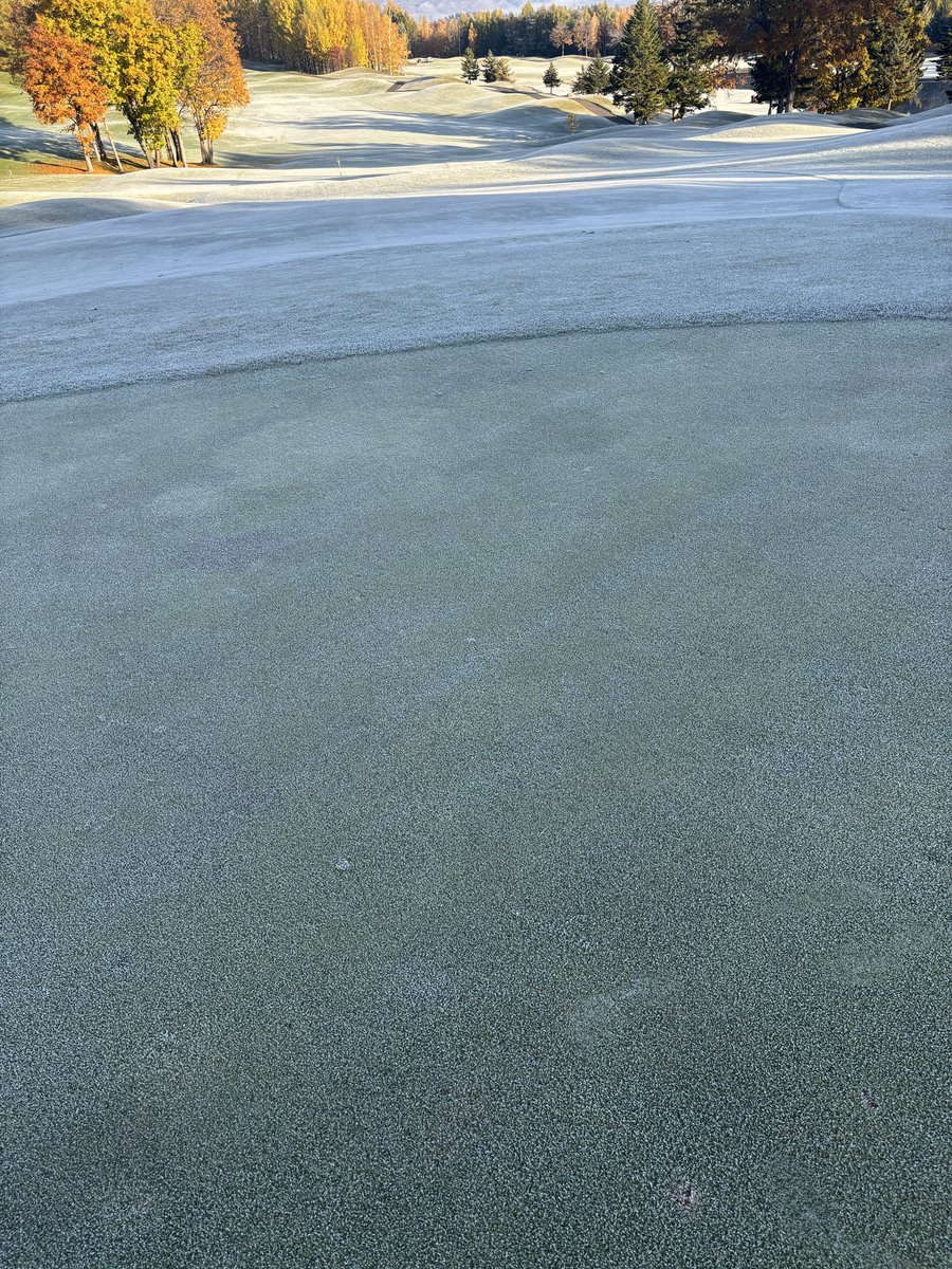 百瀬ページ 奈瀬文乃 on X