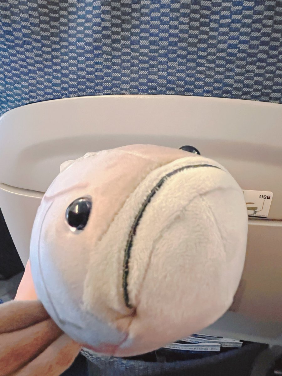 確認用( * ॑꒳ ॑*) s-l400.jpg