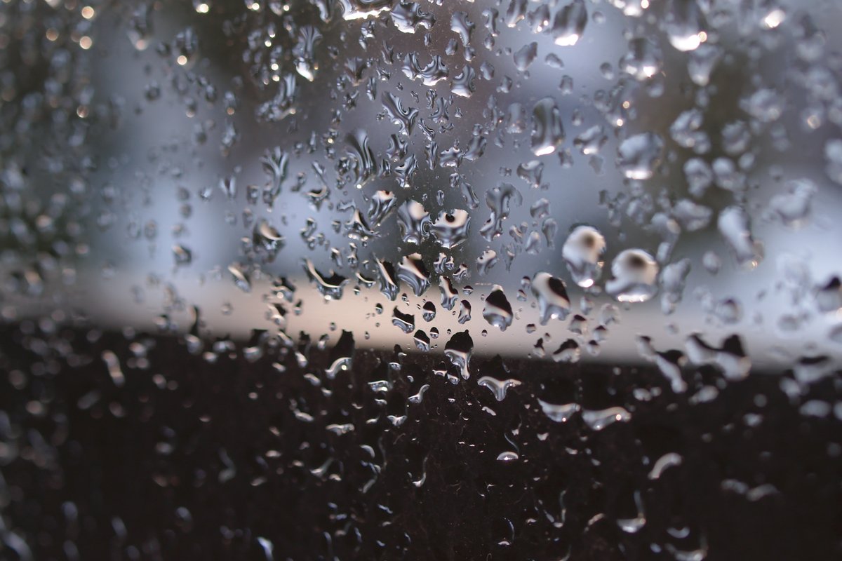 写真de俳句

秋雨に
打たれ窓見て
睡魔なり