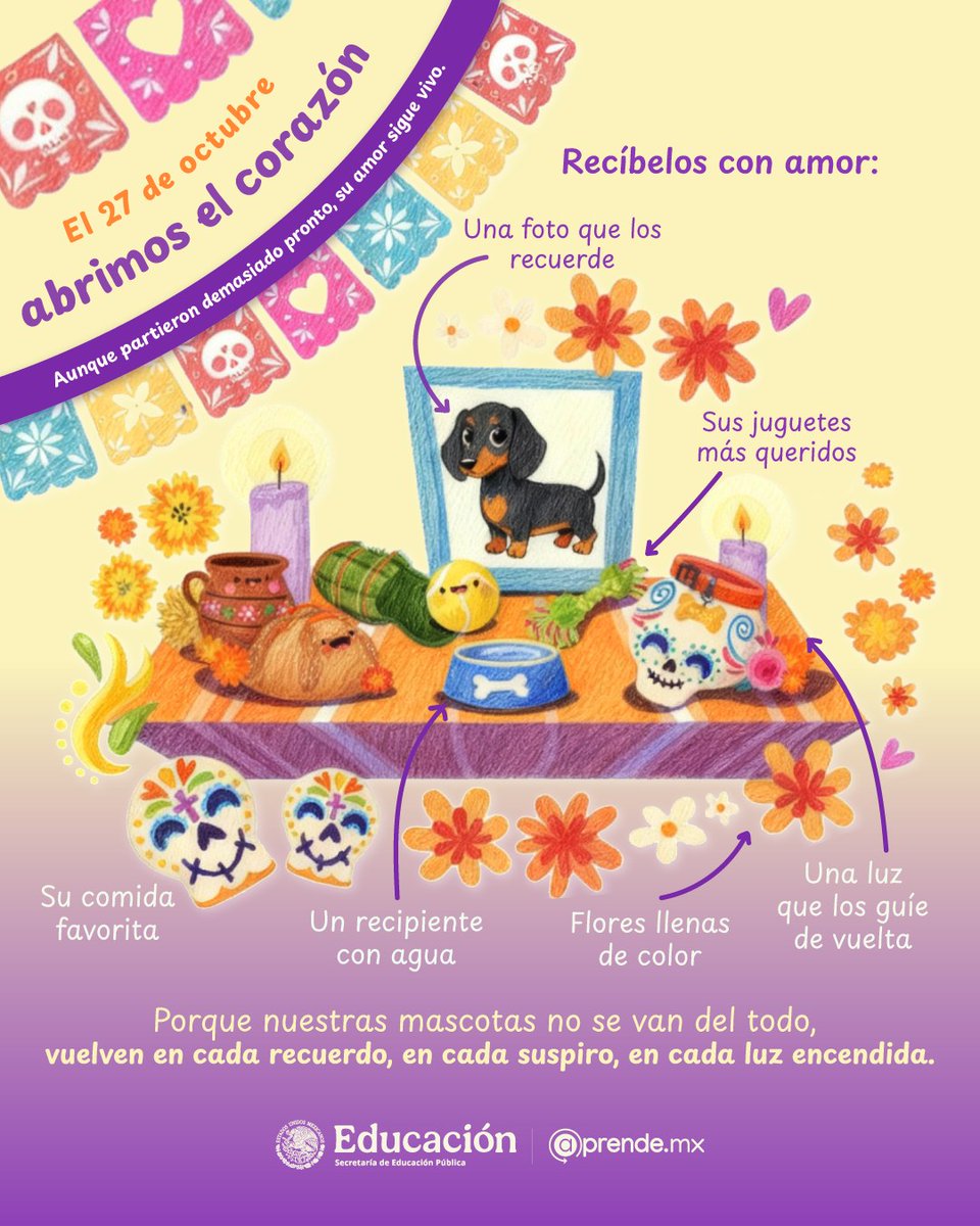 SEPHidalgo's tweet image. El amor que dejaron sigue latiendo en casa. 🐾✨
Este 27 de octubre, abre la puerta del #recuerdo y deja que vuelvan a correr por tu corazón. 🐶🐱
No importa el tiempo que haya pasado, ellos siempre encuentran el #camino de regreso al lugar donde fueron felices. 🕯️