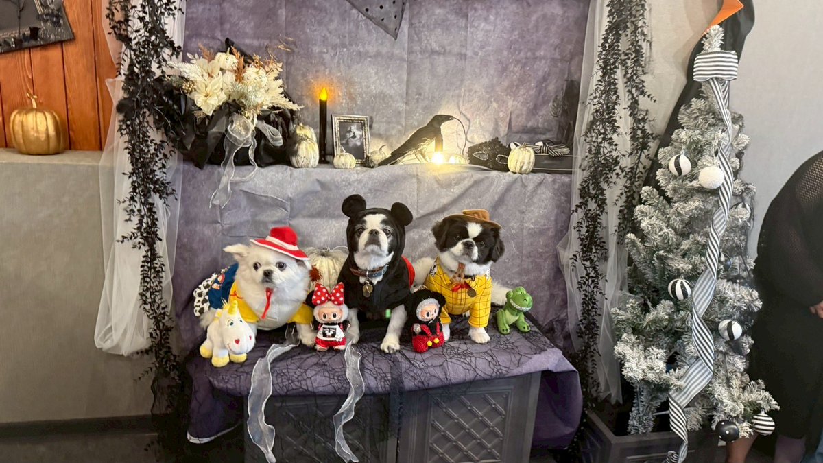 川上优 (森野雫)