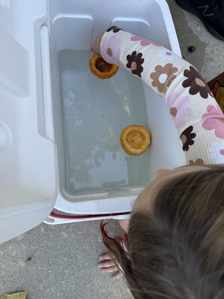 kcollazo's tweet image. Emersyn had to try out Lindsay Moretti’s tiny pumpkin boats experiment! She LOVED it!

Didn’t have acorns where we are so she used rocks. She made predictions and then tested various fun variables!

Make sure you subscribe to KidLit Grove! kidlitgrove.substack.com

#ScienceIsFun
