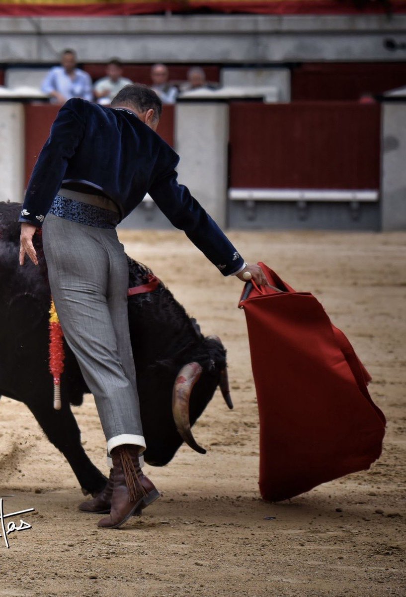 Torero. Este Torea de frente le gusta cargar la suerte… Bravo Torero. Señores no es Andaluz perdonen no  es Sevillano. Que pena no es de Madrid.. Es Colombiano…….