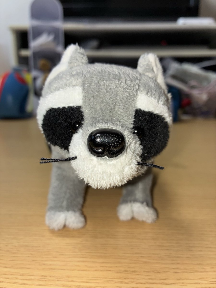 シュプのすけ様 109850447_o5.jpg?