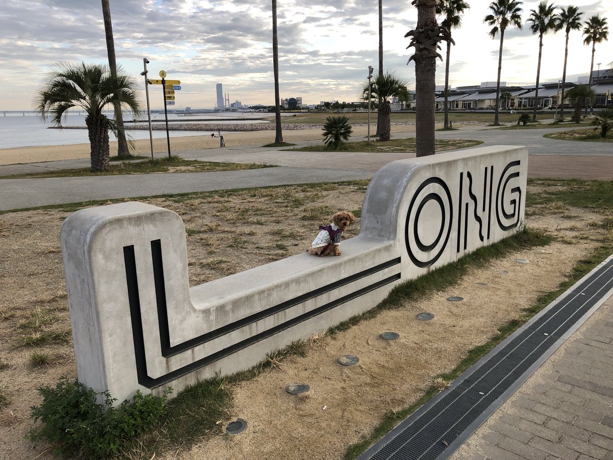 ヨシヨシ@プレスカブ on X