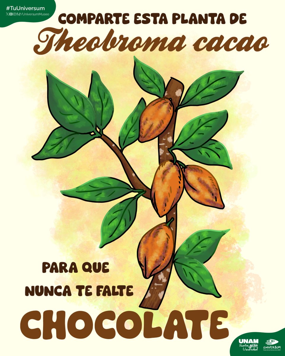 ¡Que nunca te falte! 🍫🤎
Puedes venir a la exposición "Ciencia con sabor a chocolate" para llenarte de delicioso conocimiento. 😋
bit.ly/42TM14X
#SaborACiencia