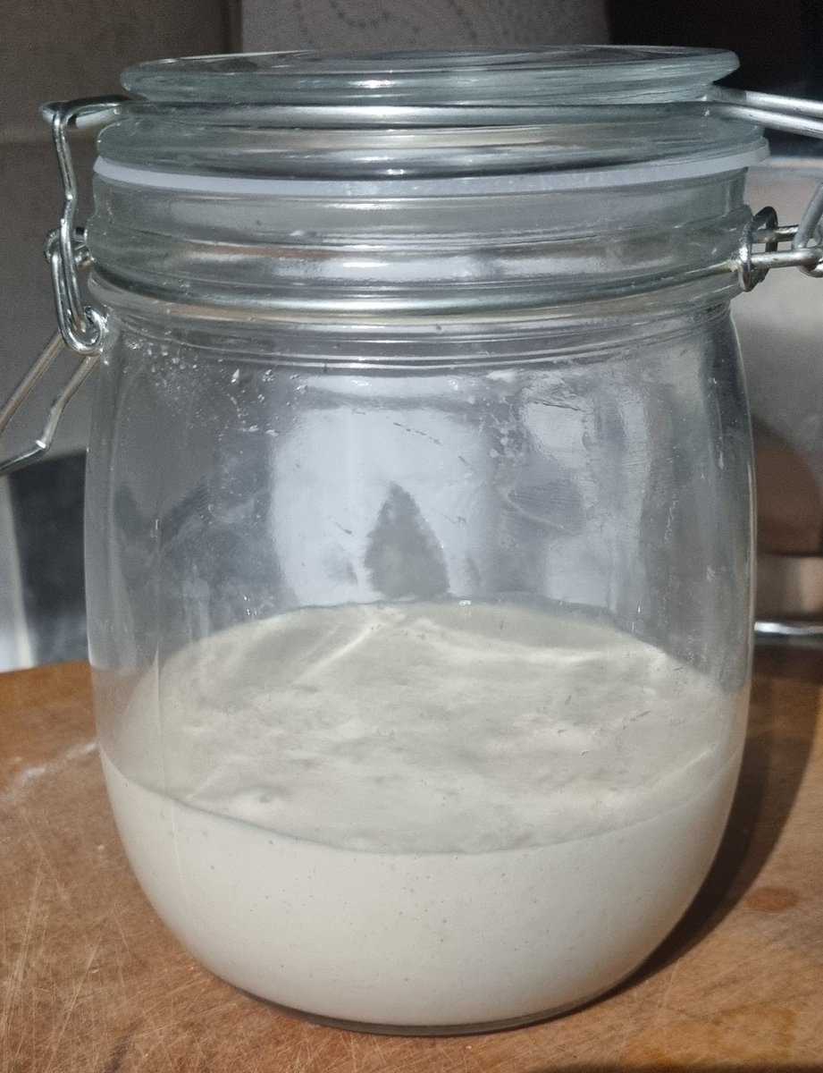 Those who know, know. She's back! #sourdough #nigella <a href="/Nigella_Lawson/">Nigella Lawson</a>