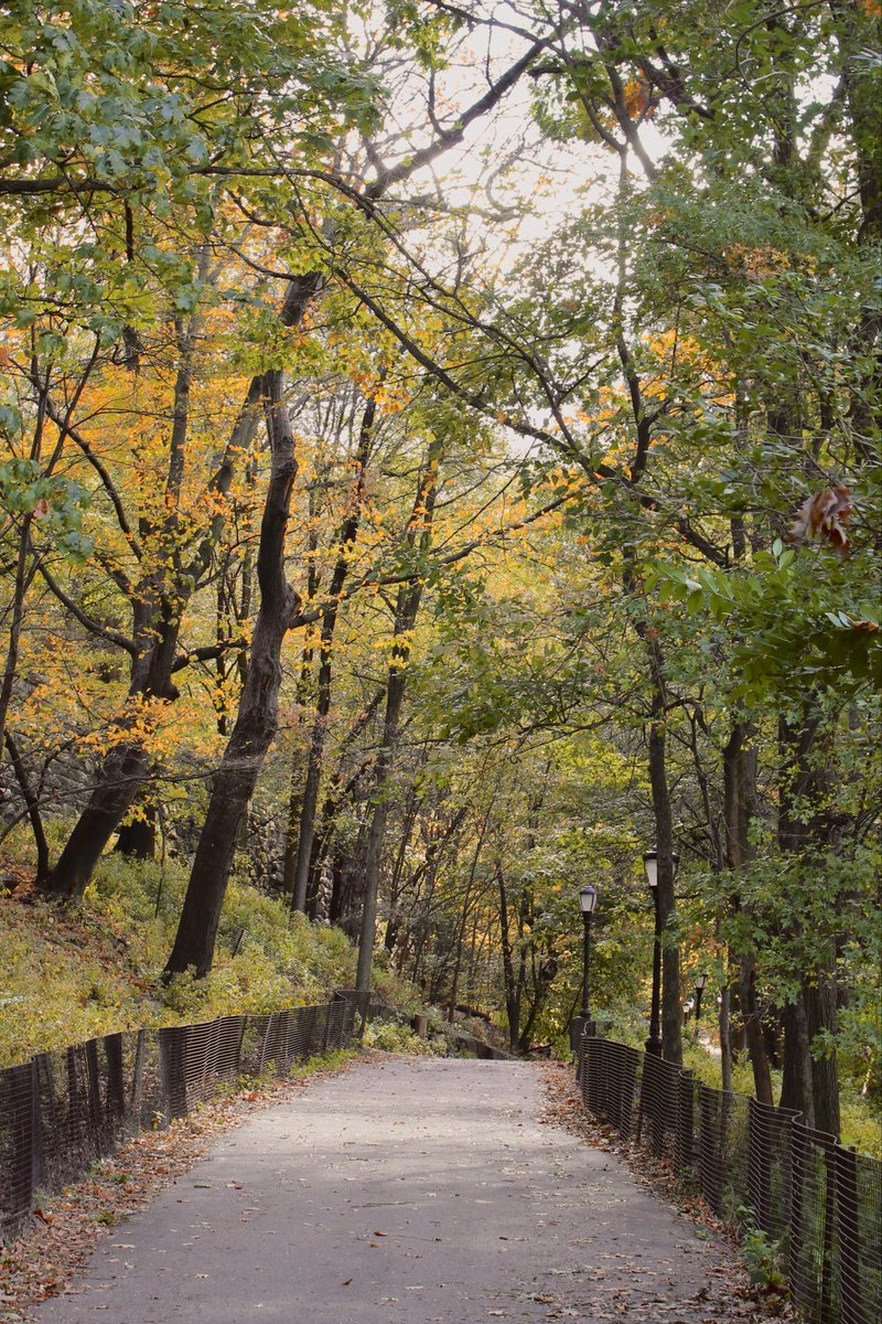 spiderhij4bi's tweet photo. #FallMaxxing https://t.co/jnm9We1Vdd
