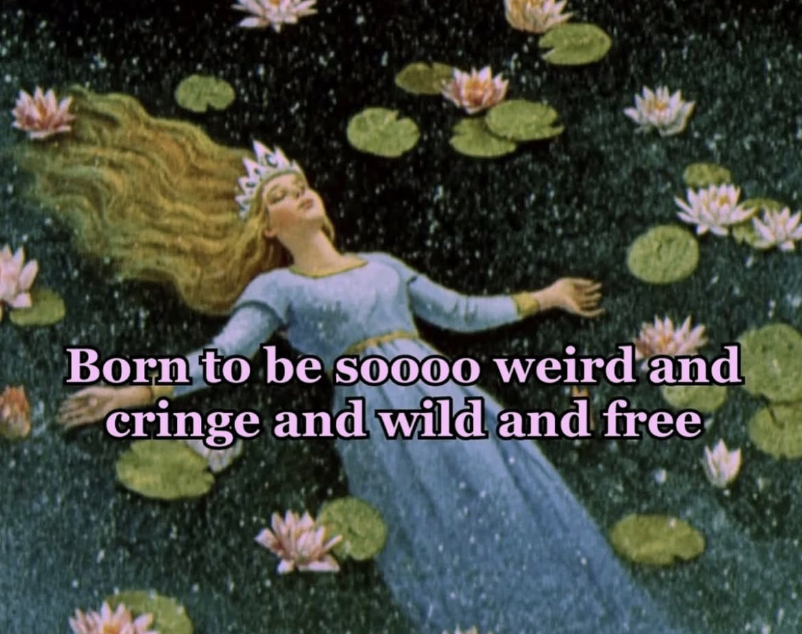 🧚🏼‍♀️✨✨✨
