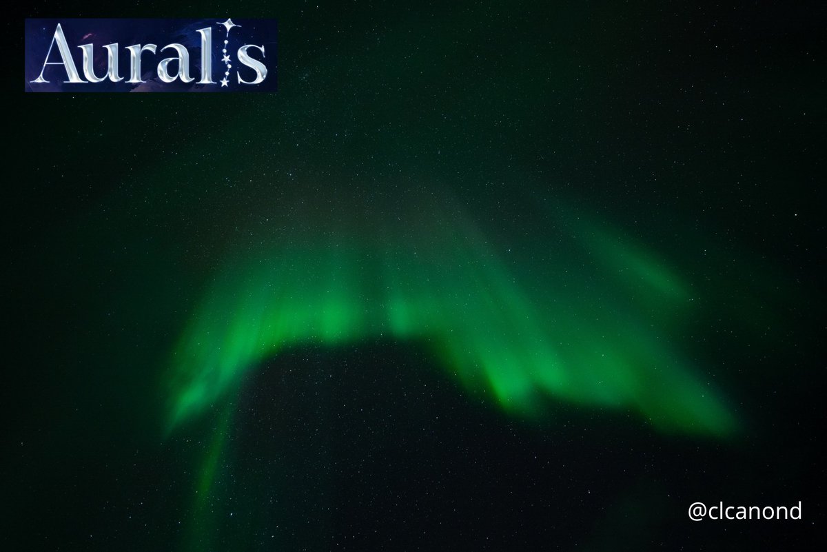 ロレナ • Auralis tweet media