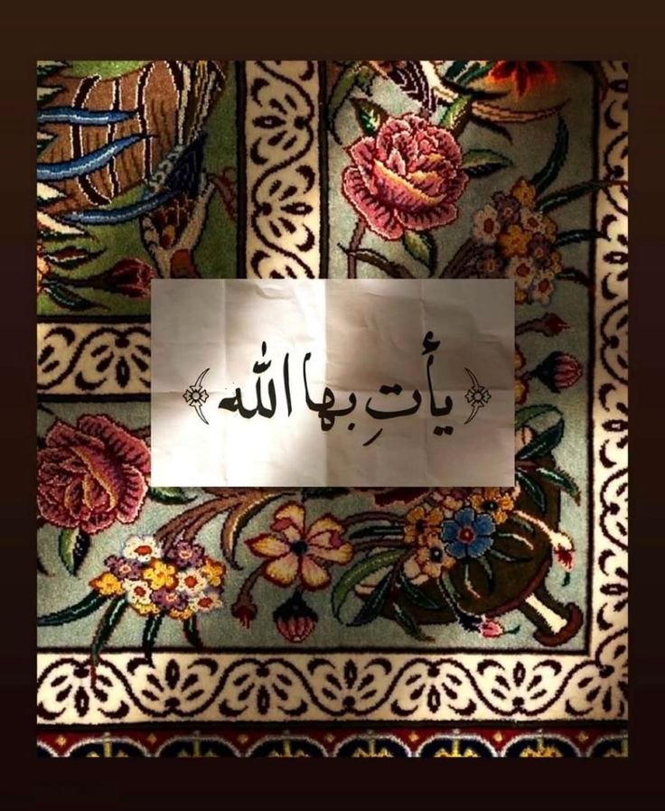دعاء فيصل tweet media