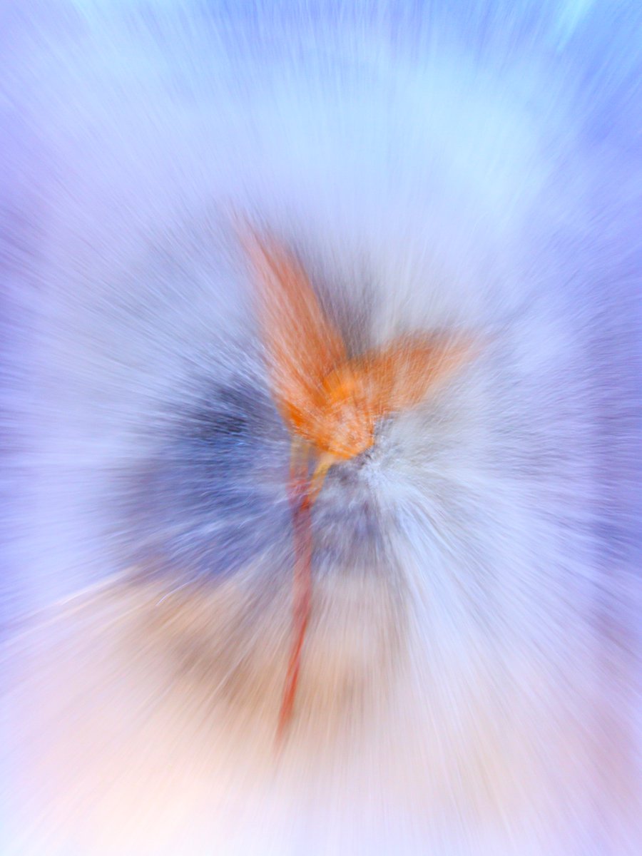 Into the Icy Blast
