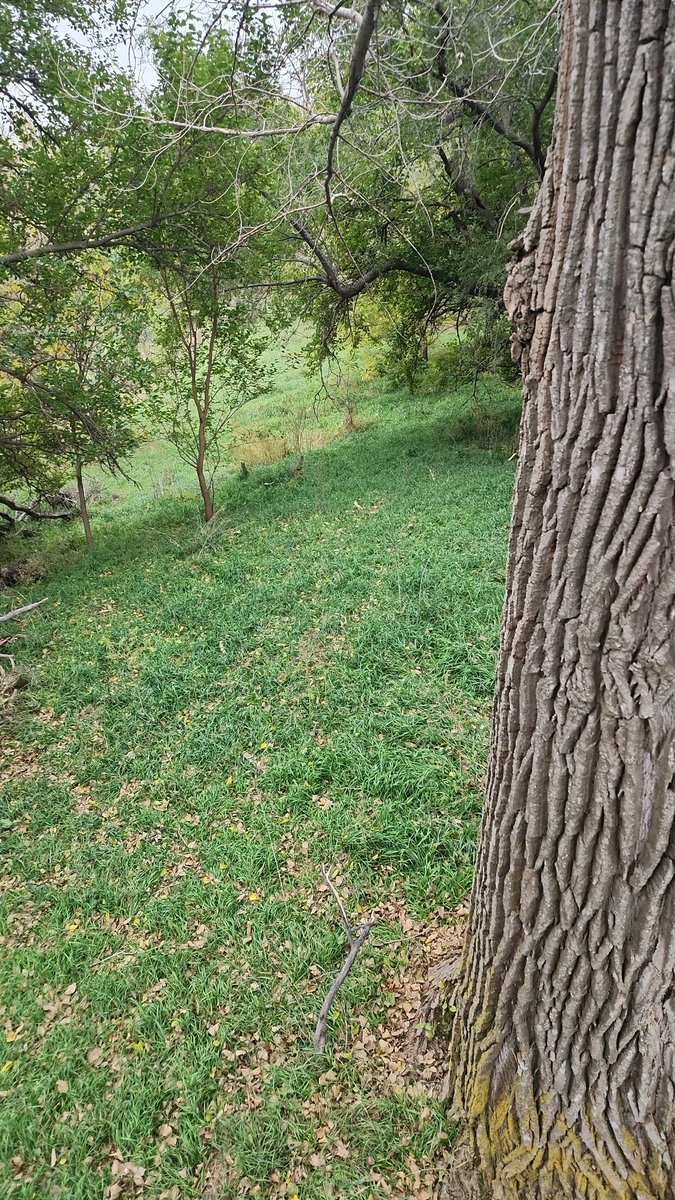 First night out, let's see what shows up!