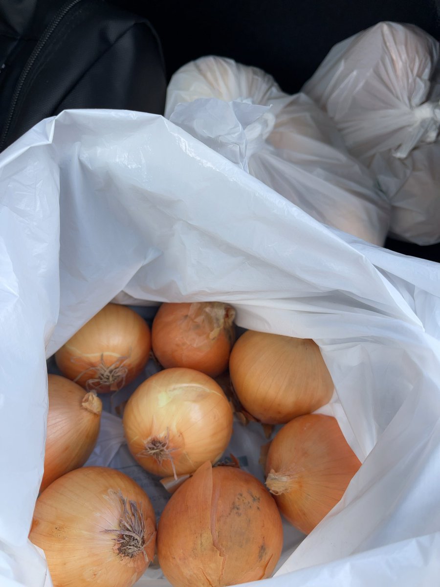 他人の街の祭りに浮かれ🎵

買いすぎか。
安かったんだよ。