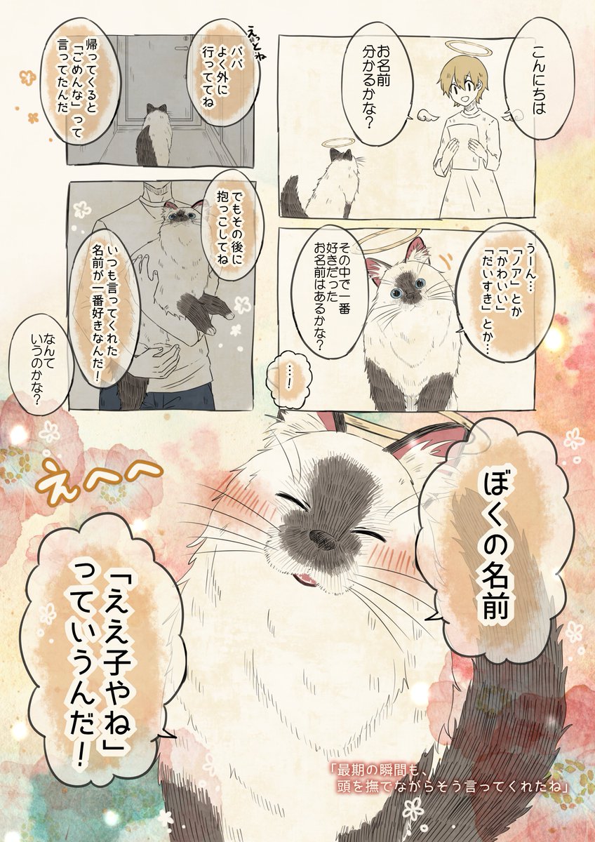 自分の名前を勘違いしているラグドール 