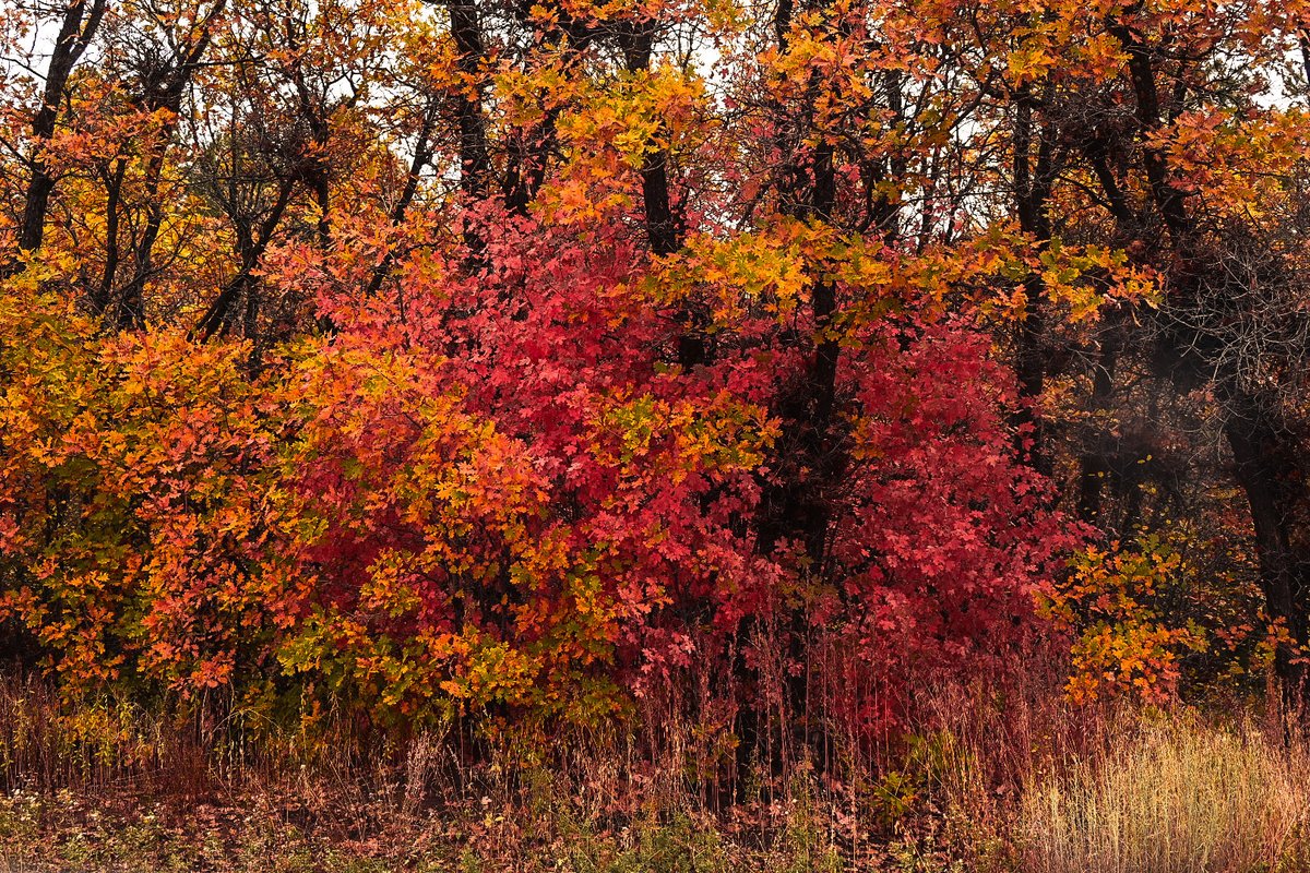 db_persoectives's tweet image. Fall